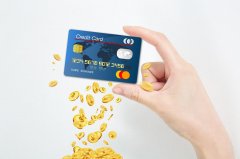 海淘支付攻略：海淘一定要准备visa信用卡吗？