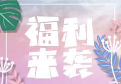 美国海淘网站优惠专区大